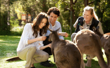 Wildlife Adventures in Australia You Can’t Miss
