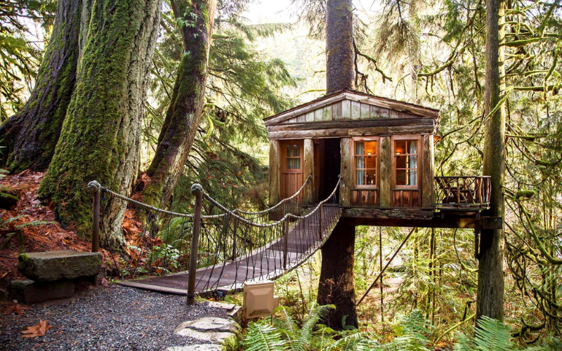 Sleep Among the Trees Treehouse Escapes